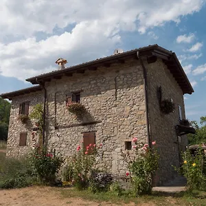 La Piana Dei Castagni Alloggio per agriturismo Castel dʼAiano